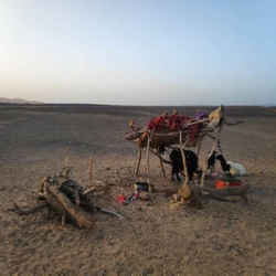 Nights in standard desert camp Merzouga