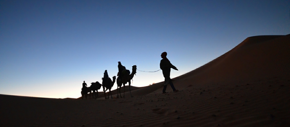 Sunrise camel tour in Merzouga