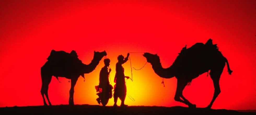 Sunset camel trekking