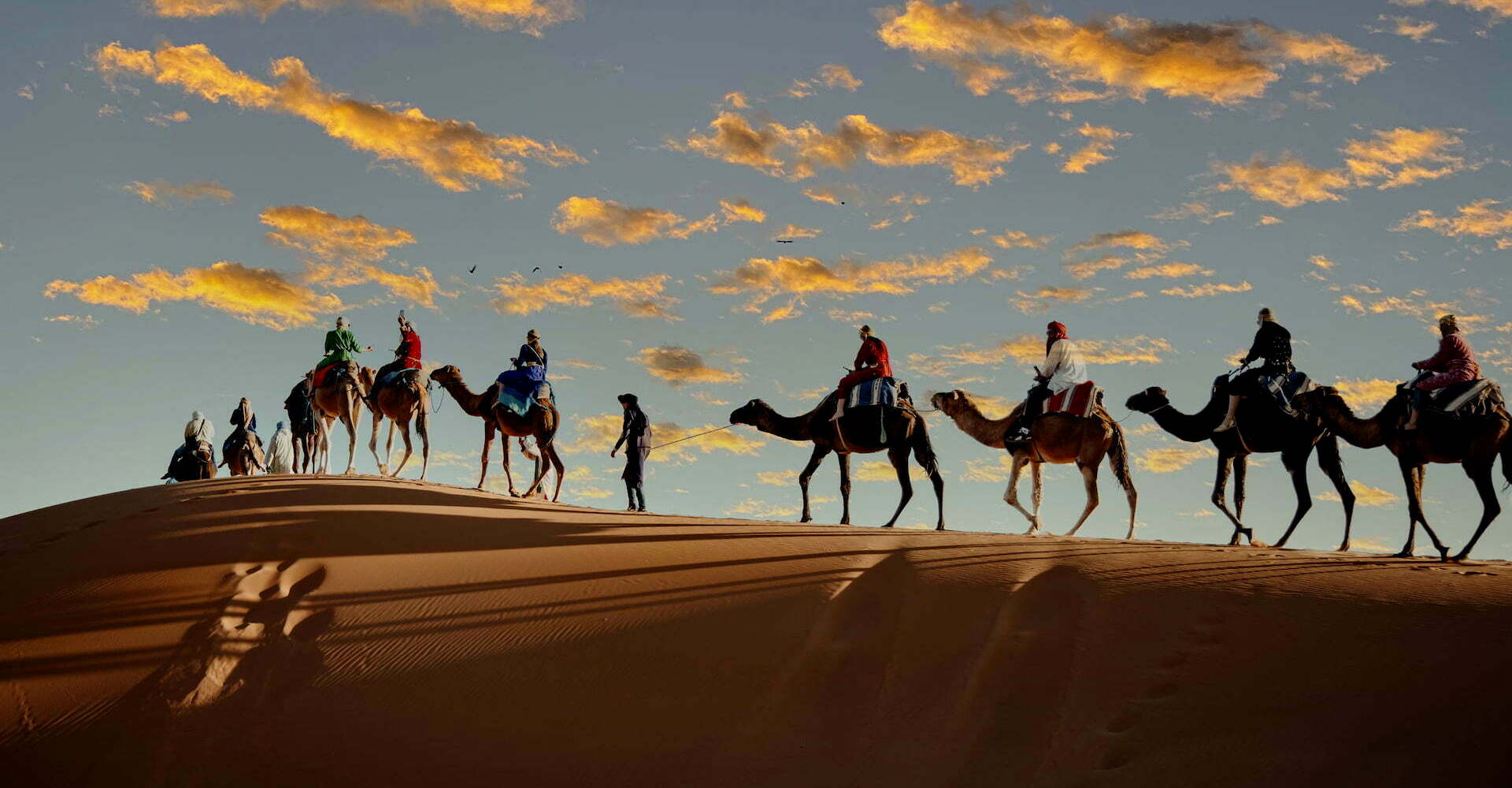 camel desert tours