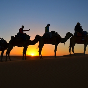 Sunset camel trekking in Merzouga - Camel trip Erg Chebbi sunset trek