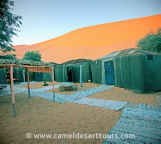 Photo gallery for Merzouga activities - Erg CHebbi camel trek pictures