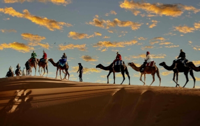 Camel Desert Tours