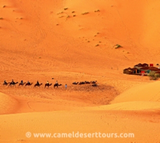 Photo gallery for Merzouga activities - Erg CHebbi camel trek pictures