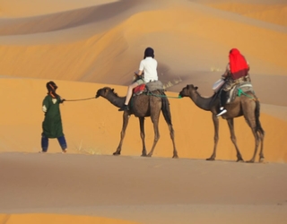 Merzouga Camel trek with 1 night in camp - 2 days 1 night camel trip in Sahara