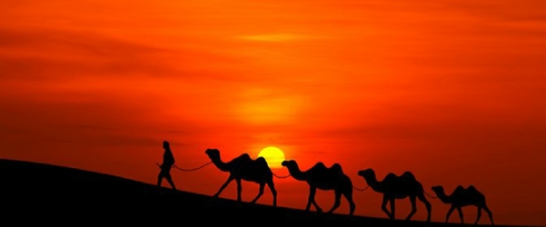 Sunset camel trekking in Merzouga - Camel trip Erg Chebbi sunset trek