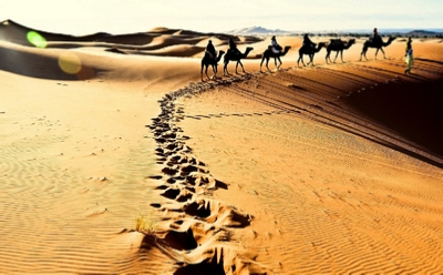 Camel trek and 1 night in camp