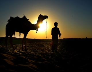 Sunset camel trekking in Merzouga - Camel trip Erg Chebbi sunset trek