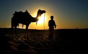 Sunset camel trekking