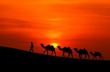 Sunset camel trekking in Merzouga - Camel trip Erg Chebbi sunset trek