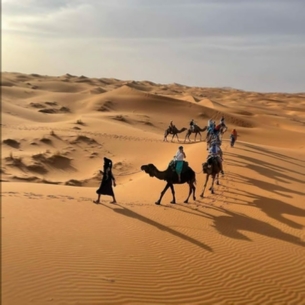 Sunset camel trekking in Merzouga - Camel trip Erg Chebbi sunset trek