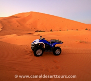 Photo gallery for Merzouga activities - Erg CHebbi camel trek pictures