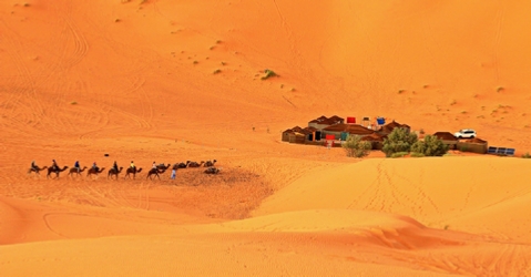 Nights in luxury desert camp Merzouga