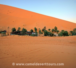 Photo gallery for Merzouga activities - Erg CHebbi camel trek pictures