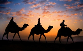 Sunrise camel trip