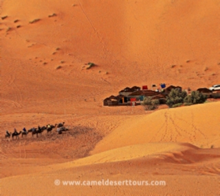 Photo gallery for Merzouga activities - Erg CHebbi camel trek pictures